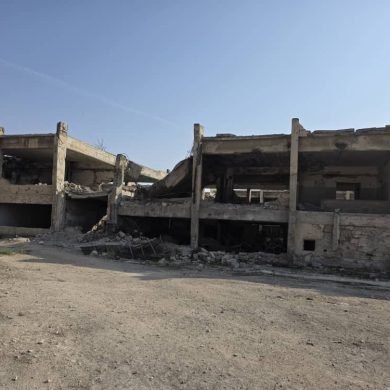 WhatsApp Image 2025-12-31 at 16.11.33