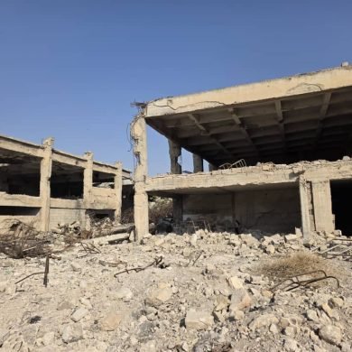 WhatsApp Image 2025-12-31 at 16.11.34